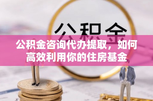 甘孜公积金咨询代办提取，如何高效利用你的住房基金