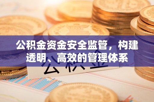 甘孜公积金资金安全监管，构建透明、高效的管理体系