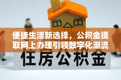 甘孜便捷生活新选择，公积金提取网上办理引领数字化潮流