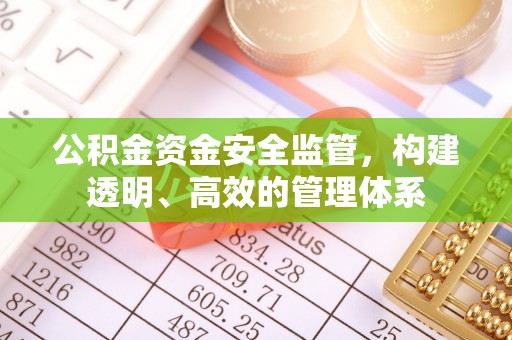 甘孜公积金资金安全监管，构建透明、高效的管理体系