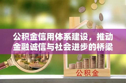 甘孜公积金信用体系建设，推动金融诚信与社会进步的桥梁