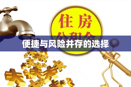甘孜便捷与风险并存的选择